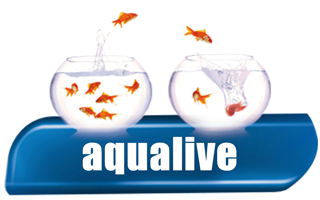 Aqualive - Products for Aquariums